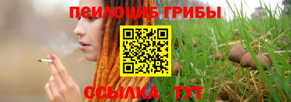 Ленинск-Кузнецкий  Галлюциногенные грибы GOLDEN TEACHER  Вход с VPN  Галлюциногенные грибы мицелий 